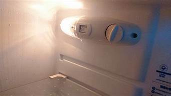 冰箱冷藏室有水有异味_冰箱冷藏室有水有异味怎么办