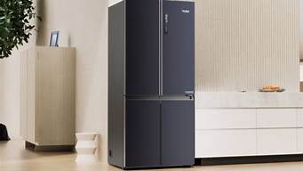 电冰箱功率一般用多大的插座_电冰箱功率一般用多大的插座合适
