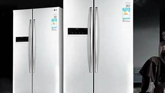 lg双开门冰箱老款_lg双开门冰箱老款型号有哪些
