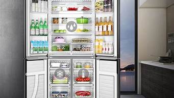 对开门冰箱哪个牌子质量好_对开门冰箱哪个