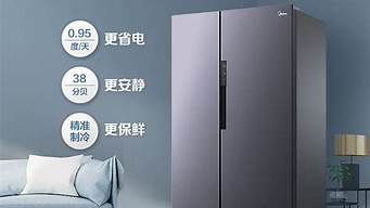 宁波冰箱品牌_宁波冰箱品牌排行榜