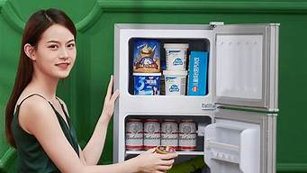 小型电冰箱排行榜