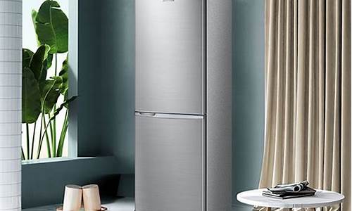 国产电冰箱十大排名品牌排行榜_电冰箱排名