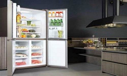 冰箱品牌哪个好_冰箱品牌哪个好前十名_1