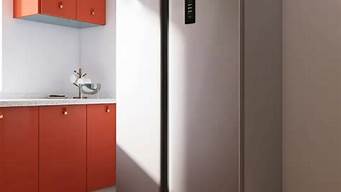 电冰箱功率一般用多大的插座_电冰箱功率一般用多大的插座合适