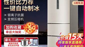 宁波冰箱品牌_宁波冰箱品牌排行榜